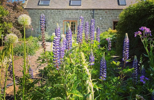 Duns Cottage | Beautiful Stone Cottage - A Unique Rural Retreat In The Scottish Borders