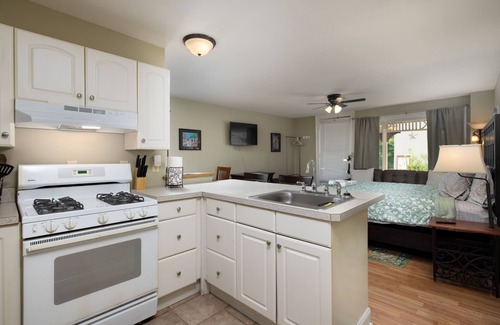 Saratoga Springs Apartment | Beautiful studio apartment in Saratoga - short walk to downtown
