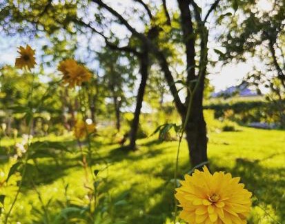 Hanko Villa | Beautiful traditional villa in central Hanko