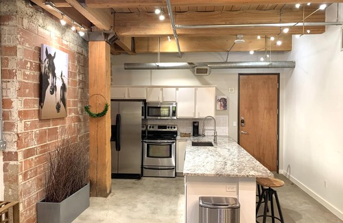 Downtown Dallas Condo | Beautiful updated condo in the heart of Dallas