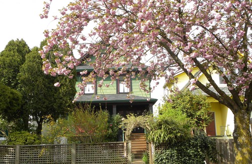 Mount Pleasant House | Beautiful Victorian Home - Central Vancouver!
