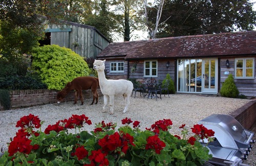 Frampton Cottage | Beautifully appointed west Dorset Cottage With Open Parkland Views