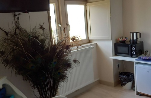 Cere-la-Ronde Bed & Breakfast | Beautifully decorated room close to Beauval zoo and Chenonceaux castle