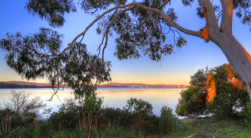 Beauty Point Resort | Beauty Point Tourist Park