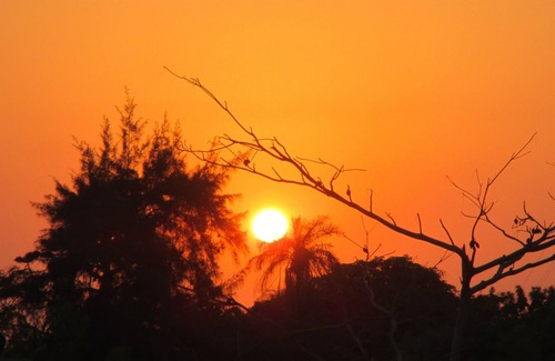 Diakhanor House | Bed and Breakfast BakeaDiam - Dionewar - Saloum - Senegal