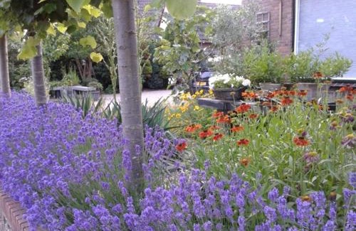 Municipality of Ermelo Bed & Breakfast | Bed and Breakfast de Verwennerij