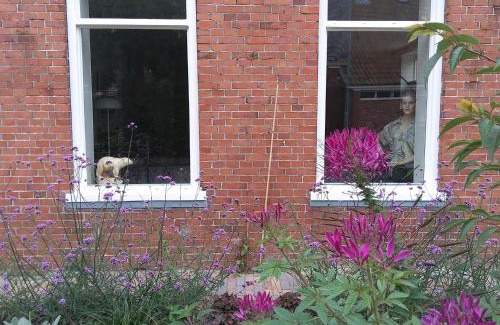 Ezinge Apartment | Bed & Breakfast Appartement 't Haventje
