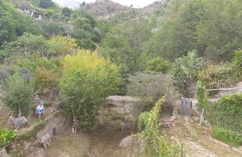 Arnasco Bed & Breakfast | Bed & Breakfast Ca' di Vissai