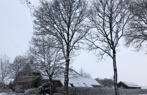 Sellingen Bed & Breakfast | Bed & Breakfast Ter Borg