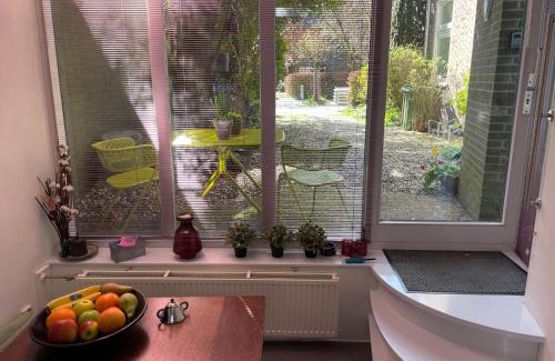 Oranjebuurt Apartment | Bed & Office 050