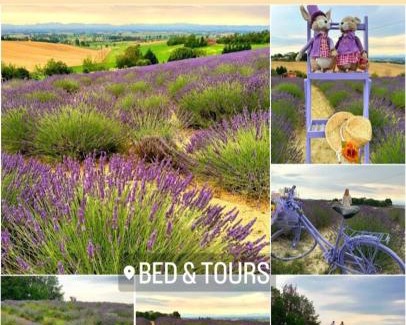 Castelnuovo Belbo Bed & Breakfast | Bed & Tours Dimora di campagna
