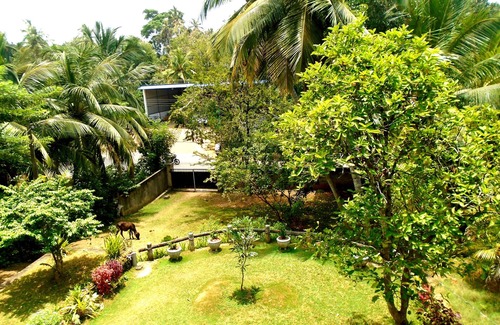 Dickwella House | Bee Line-Stay With Us & Experience The Sri Lankan Cousins blended With Culture