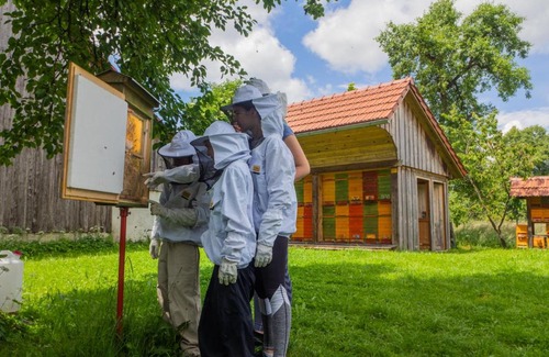 Ribnica Apartment | Beekeeping Kojek