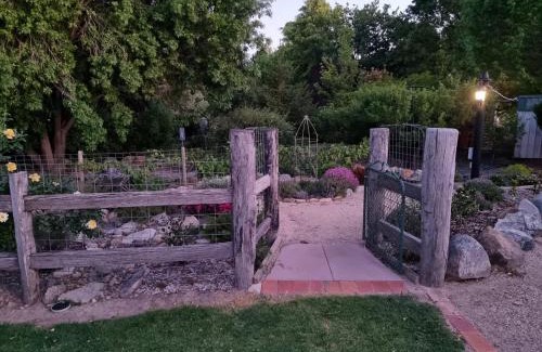 Tenterfield House | Behind the hedge