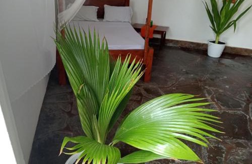 Malindi Apartment | Bella Casa Malindi Casuarina