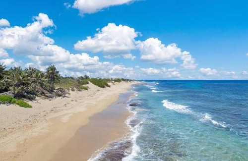 Jobos Hotel | Bella Surf Inn