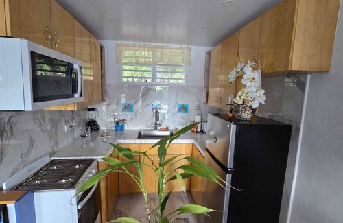 Estate Contant Apartment | BELLA TORTUGA - A Garden studio in charming St. Thomas with AC,Wi-Fi,Courtyard