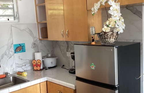 Estate Contant Apartment | BELLA TORTUGA - A Garden studio in charming St. Thomas with AC,Wi-Fi,Courtyard