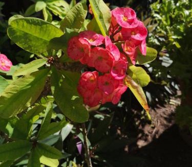 La Digue House | Belle Amie Self Catering