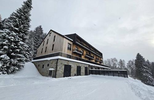Benecko Apartment | Benecko moderní apartmán A30 by AlkaTravel