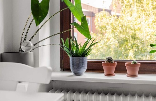 Western Ring Area Apartment | #BER02 beautiful 2 room apartment directly at the park