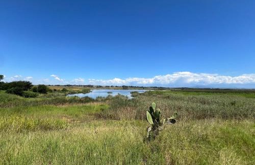 Winterton Villa | Berg guest farm