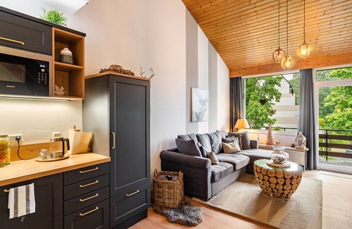 Sankt Andreasberg Apartment | Berglounge Sankt Andreasberg