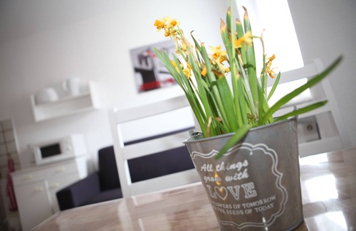 Griesenbruch Apartment | Bermuda Apartment Bochum City