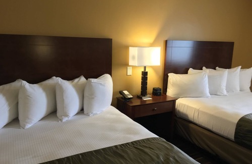 Bowling Green Hotel | Best Western Falcon Plaza - Bowling Green