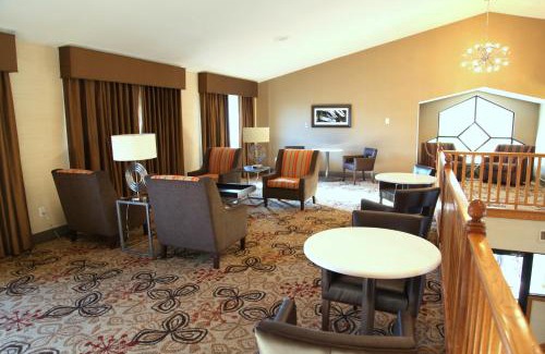 Bowling Green Hotel | Best Western Falcon Plaza - Bowling Green
