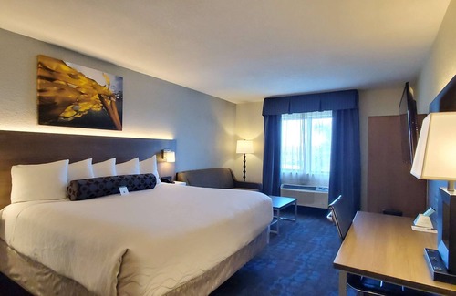 Hallandale Beach Hotel | Best Western Plus Hollywood/Aventura