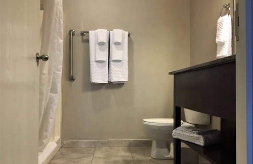 Valdosta Hotel | Best Western Plus Valdosta Hotel & Suites