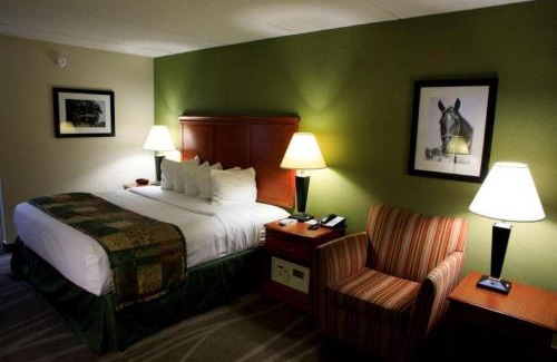 Shelbyville Hotel | Best Western Shelbyville Inn and Suites Celebration Inn