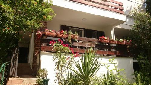 Sutomore Apartment | BG apartman