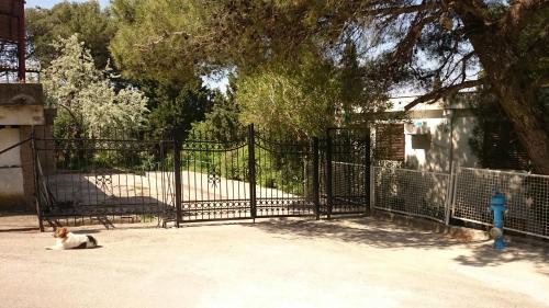 Sutomore Apartment | BG apartman