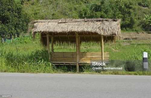 Pindwara Other | Bhimana Bamboo Retreat