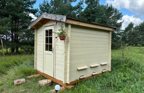 Kaunas County House | Bičių namas Bičių lova Bee house