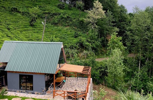 Pazar House | Biber’s Homenn