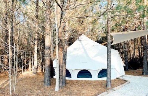 Conway RV Rental | 🐻 Big Bear Glamping | Spacious Forest Retreat 🌲🔥 Sleeps 8