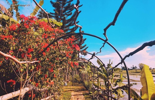 Abiansemal House | BIG LOVE: Ubud's Unique Estate Destination: Peace, Rejuvenation & Inspiration