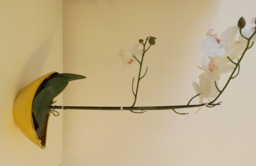 Binley House | Big size room in coventry