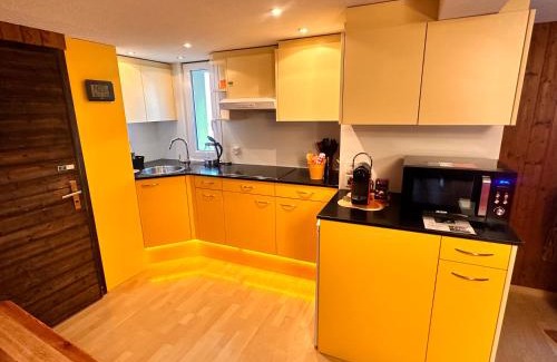 Oberterzen Apartment | Bijouswiss " Yellow House"