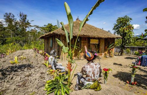 Highlands Region House | Bird of Paradise ECO Lodge