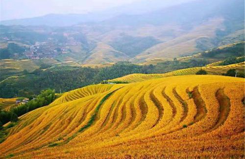 Longsheng Various Nationalities Autonomous County Hotel | Bishui Jin Guesthouse (Longsheng Longji Rice Terraces Store)