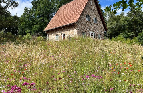 Bispingen House | Bispinger Heidezauber - Haus Felsenbirne