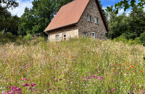Bispingen House | Bispinger-Heidezauber-Haus-Felsenbirne