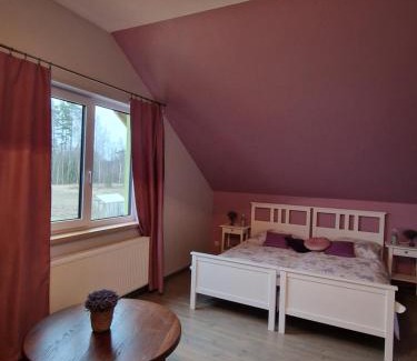 Mazeikiai Apartment | Bite Le Vanda
