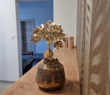 Banska Stiavnica Apartment | BIVIO apartment Dolná
