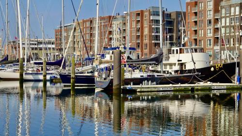 Vissershaven Apartment | BizStay Harbour III Scheveningen Apartments