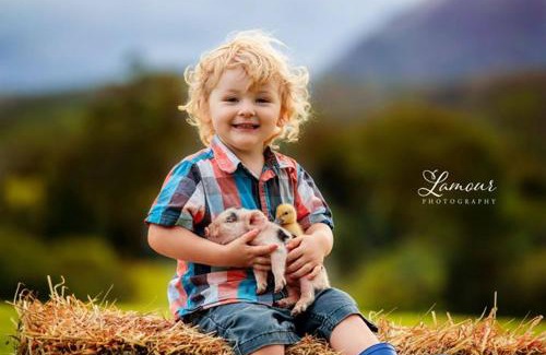 Beerwah House | Blackwattle Farm